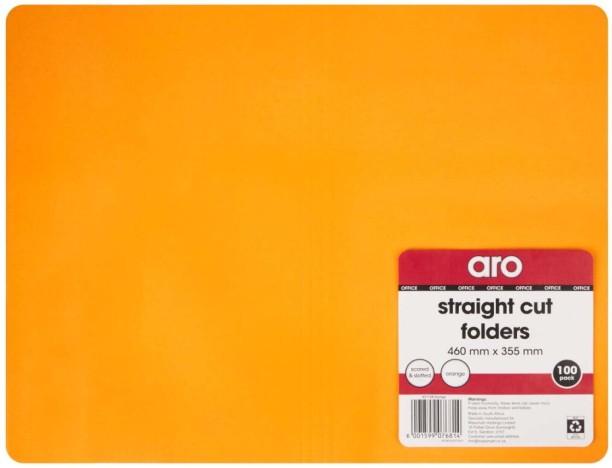 Aro Polypropylene File Folder Set of 1, Orange